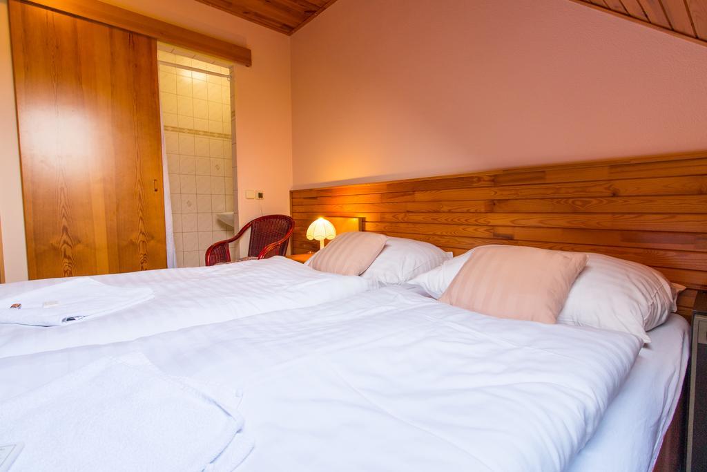 Orlik Rejviz Hotell Rum bild